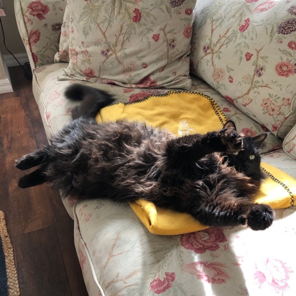 Welcome to Audshop🌟Poshmark Ambassador 🌟 - Picture 9 of 15